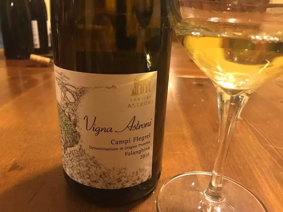 Vigna Astroni 2016