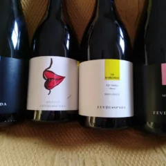 Vini Feudi Spada