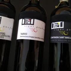 Vini Vigne Guadagno