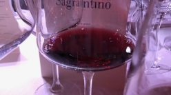 Anteprima Montefalco Sagrantino 2015