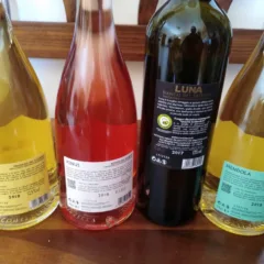 Controetichette Vini Conti Zecca