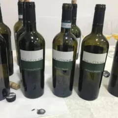 Falanghina Villa Suprema Aia dei Colombi