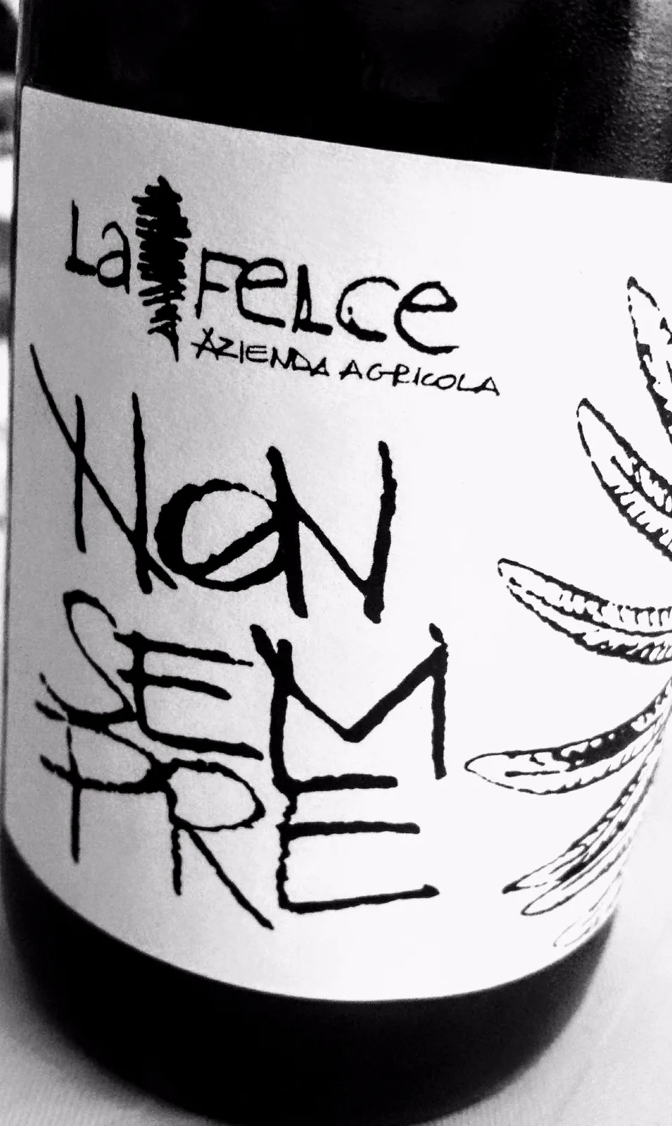 Non Sempre 2017, La Felce