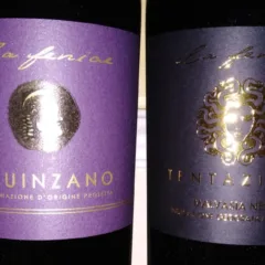 Vini La Fenice
