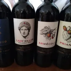 Vini di Castel di Salve