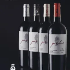 Vini di Leone De Castris