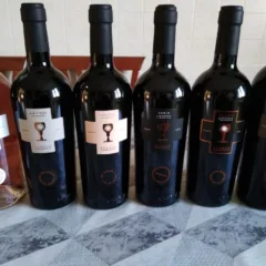 Vini di Schola Sarmenti