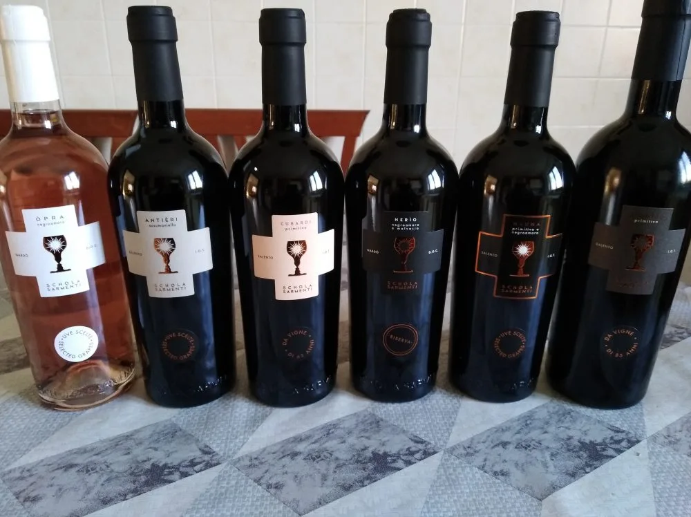 Vini di Schola Sarmenti