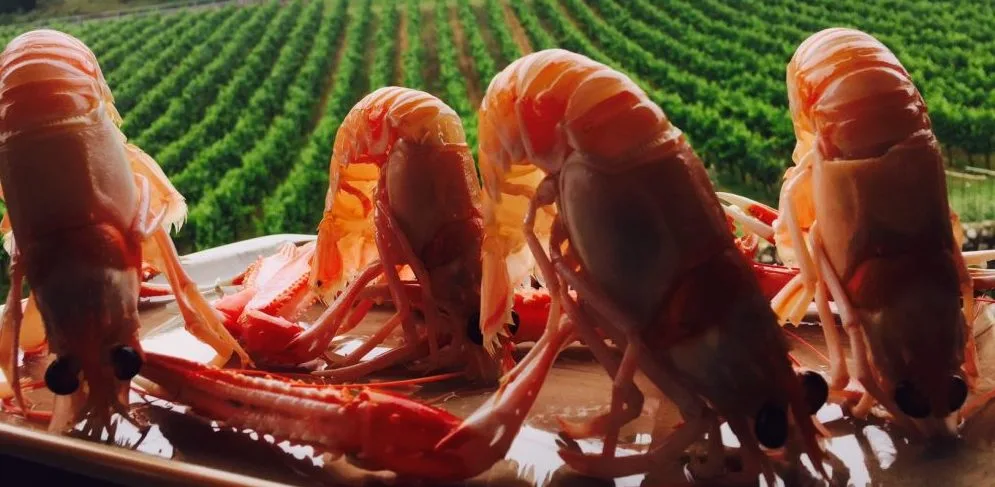 Scamponi in primo piano e nel piatto, in secondo piano le vigne di proprieta'