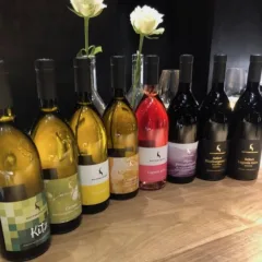 I vini Rottensteiner