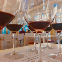 Terre di Toscana Sangiovese anno 1999