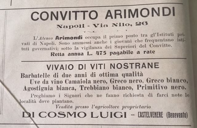 La pubblicità del vivaio Di Cosmo - Anno 1913