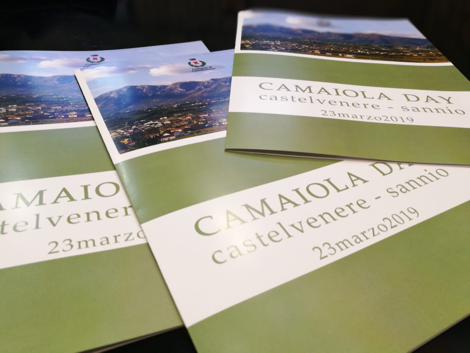 Il risorgere del vitigno camaiola