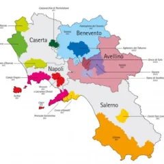 Campania dei Vini