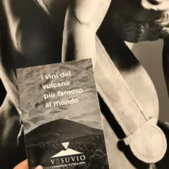 Il Consorzio Tutela Vini Vesuvio incontra il Museo Archeologico di Napoli - vini degustati