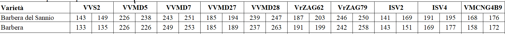 Barbera e Barbera del Sannio - Dna a confronto