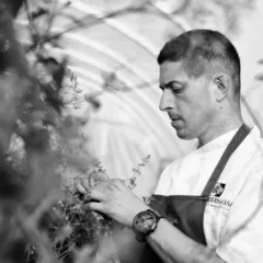 Mammoliti EditDesignfood Antonio Photography