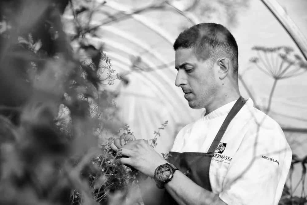 Mammoliti EditDesignfood Antonio Photography