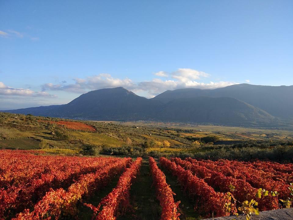 Sannio Falanghina - Paesaggio