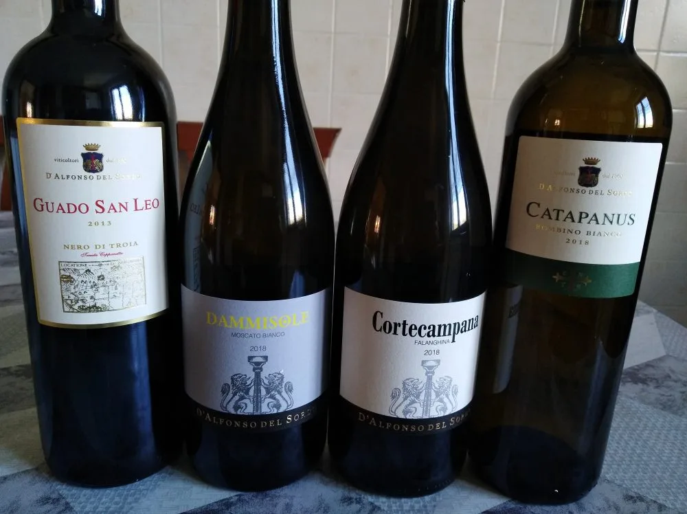 Vini D'Alfonso del Sordo