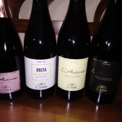 Vini L'Astore Masseria