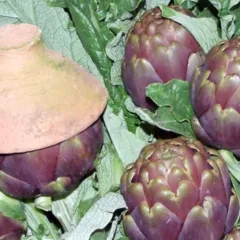 Carciofo di Schito