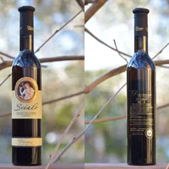 Scialo Passito 2012 Dionigi