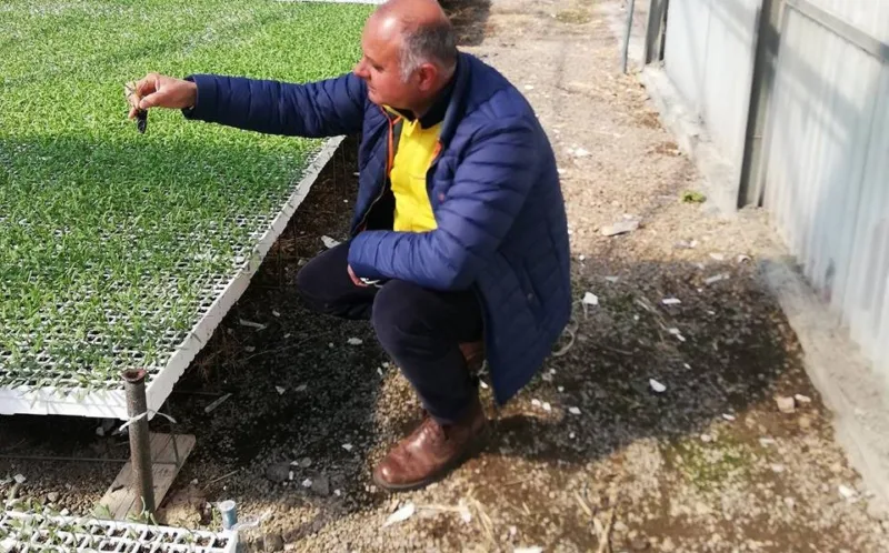 Giuseppe Napoletano di Solania