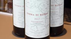 Allegra Selvaggi, il Terra di Rosso