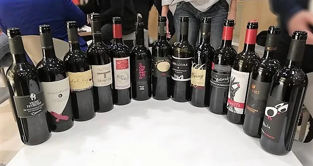 Prepotto e lo Schioppettino