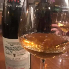 Fiano di Avellino Mastroberardino 1995
