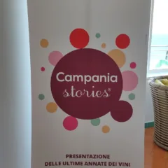 Logo Campania Stories