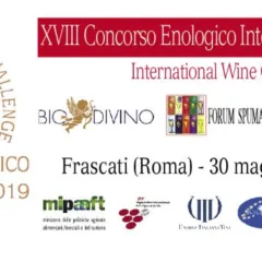 Concorso Enologico Internazionale Citta' del Vino 2019