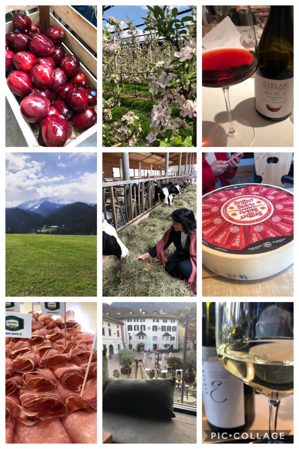 Prodotti d’eccellenza altoatesini Speck, Mele e Stelvio DOP