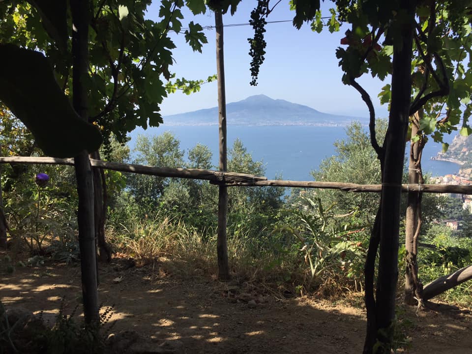 Villa Rosa di Nonna Rosa, il Vesuvio dai tavoli