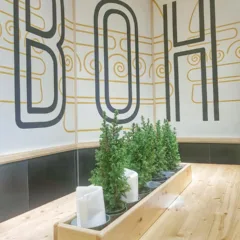 Boh