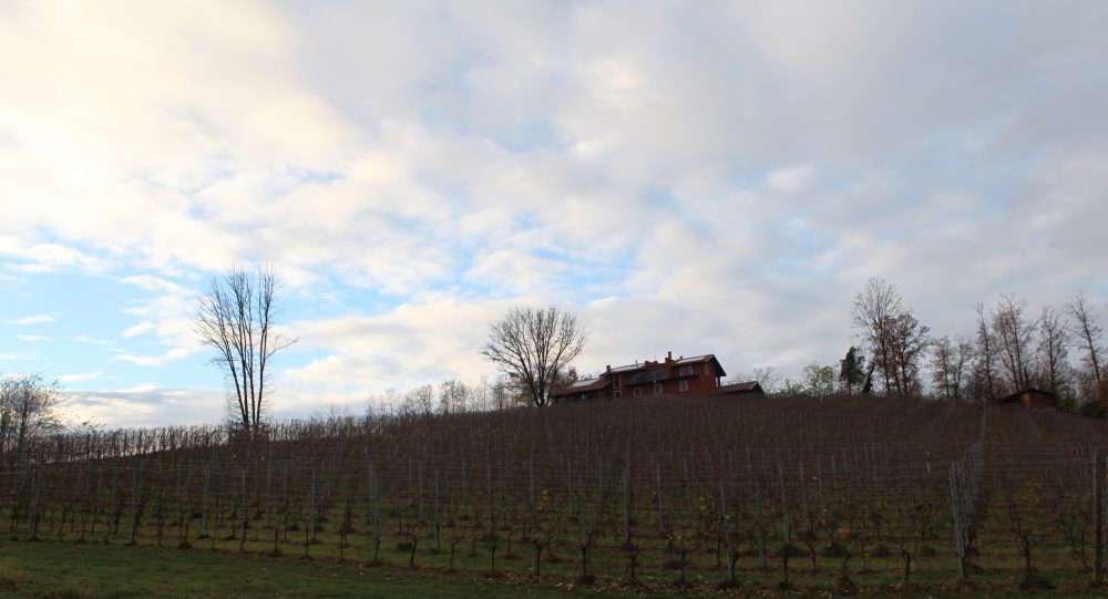 La Prevostura - Cascina