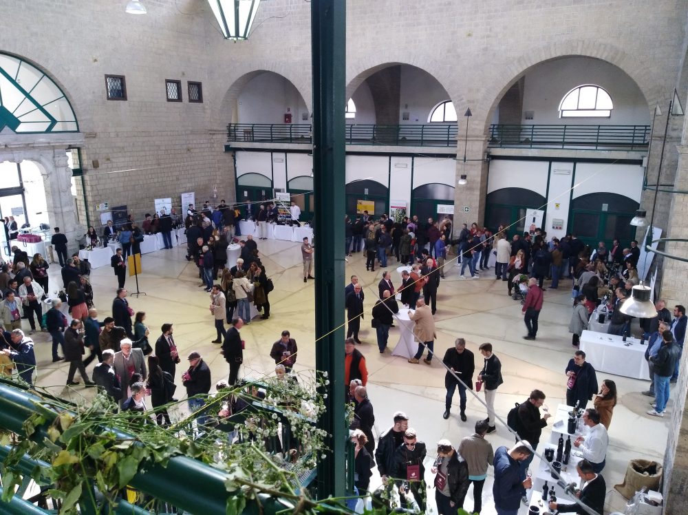 Ciak Irpinia -Banchi di assaggio