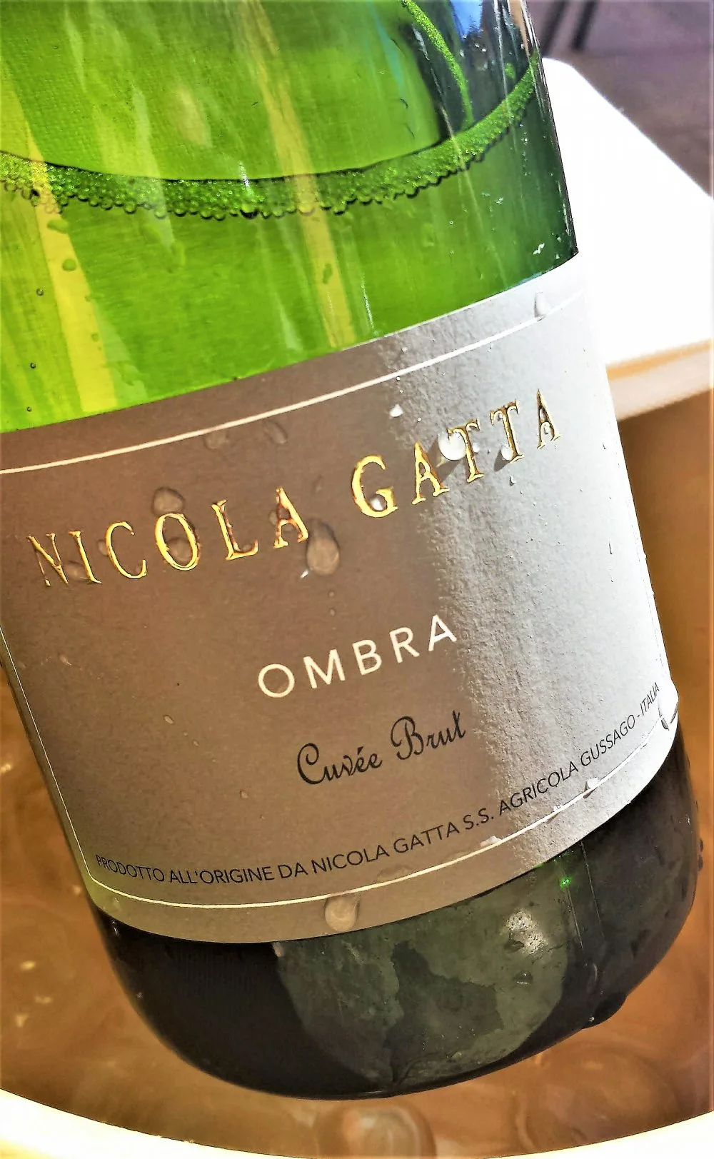 Franciacorta Ombra Cuvee Brut, Nicola Gatta