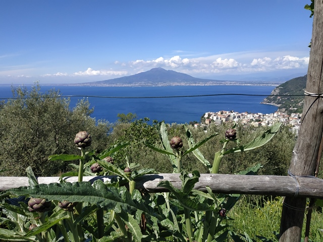 Villa Rosa di Nonna Rosa - la vista dall'orto