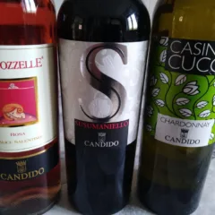 Vini di Candido Nuove annate