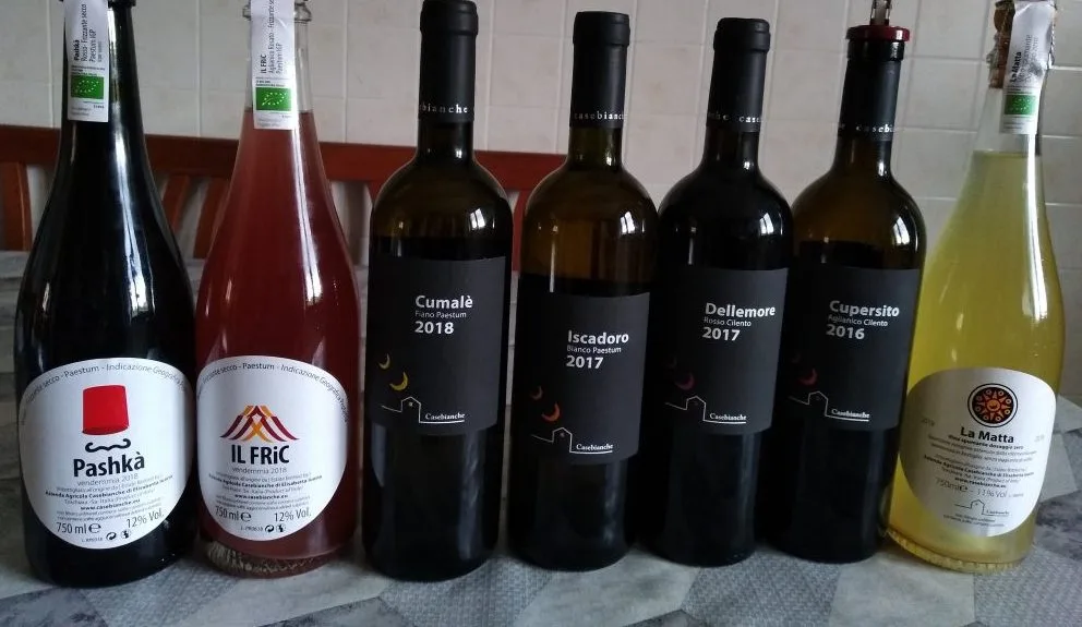Vini di Casebianche