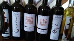 Vini di Cobellis