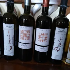 Vini di Cobellis