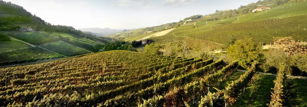 L'incantevole paesaggio del Roero