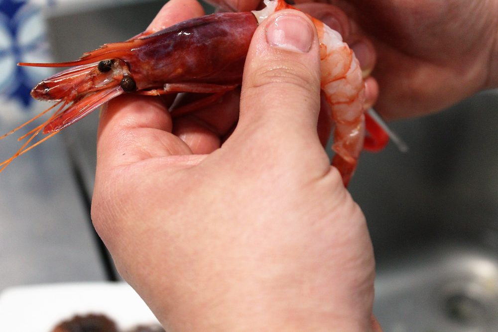 Da. Ni'. Formia – i gamberi in preparazione