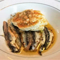 Acciughe marinate e spuma di pecorino, Officine del Cibo