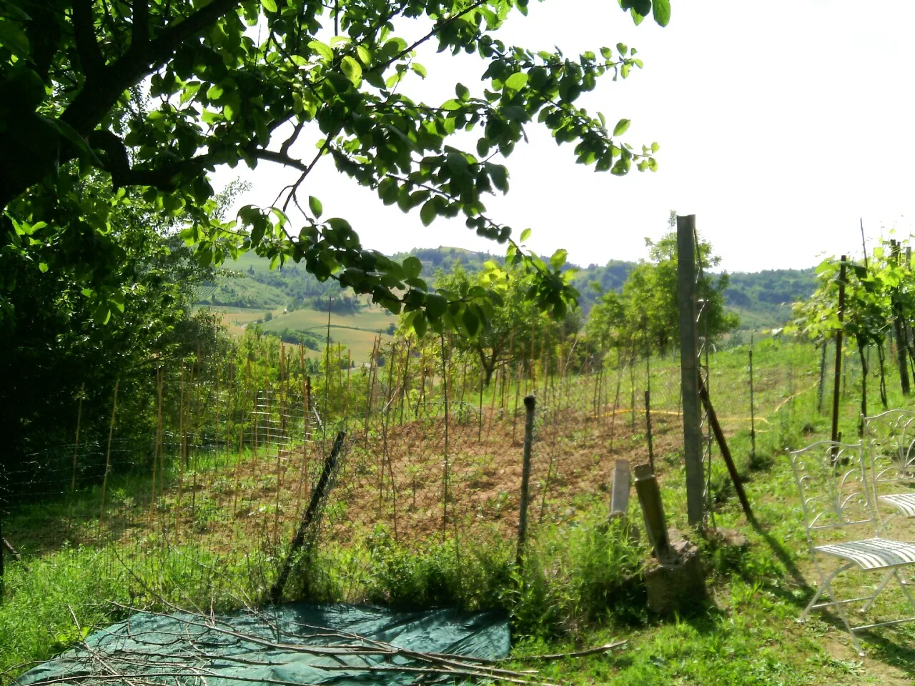 Appennino food- la tartufaia