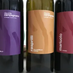 Azienda Agricola Davide Campagnano