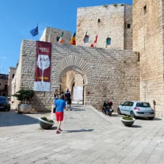 Castello di Sannicandro